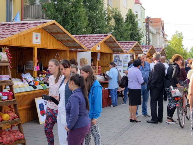 Megyei Közfoglalkoztatási Kiállítás 015